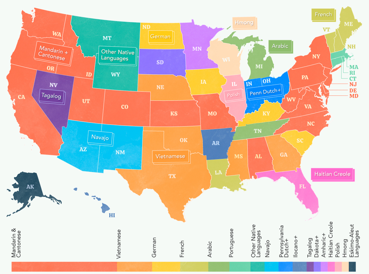 infograph-of-most-commonly-spoken-languages-in-the-u-s-besides