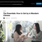Rosetta Stone's Dynamic Immersion Mandarin lesson